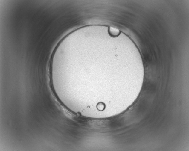 X0000075401150200609251012