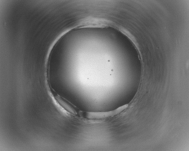 X0000075401152200609251012