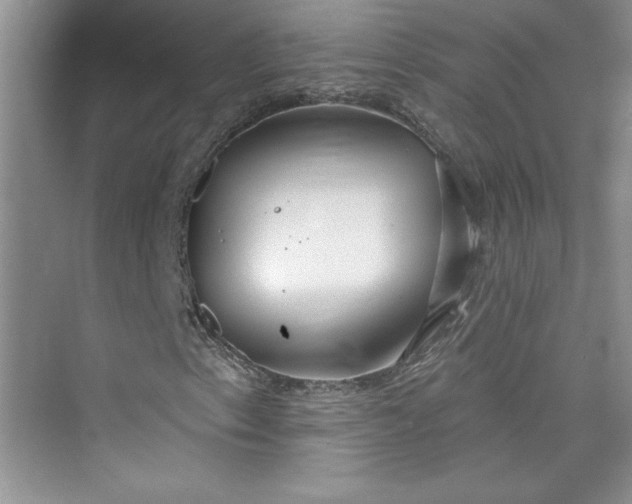 X0000075401153200609251011