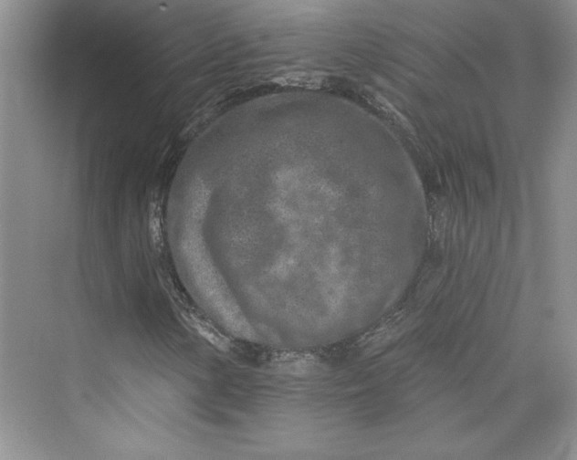 X0000075401154200609251011