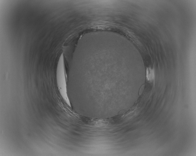 X0000075401155200609251011