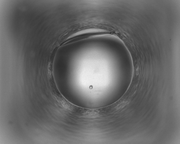 X0000075401156200609251011