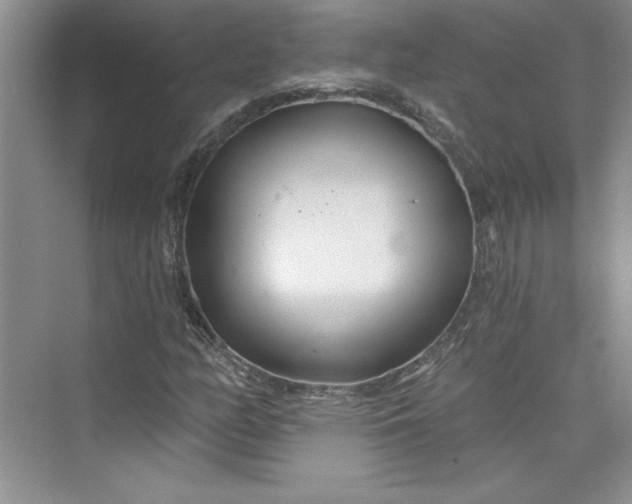 X0000075401158200609251011