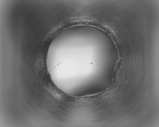 X0000075401159200609251011