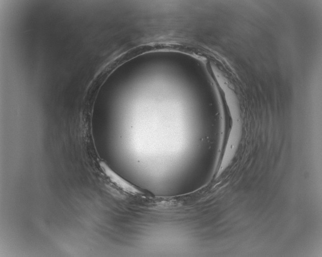 X0000075401160200609251011