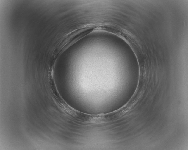 X0000075401161200609251011