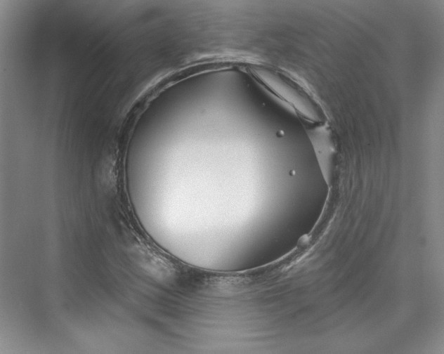 X0000075401163200609251011