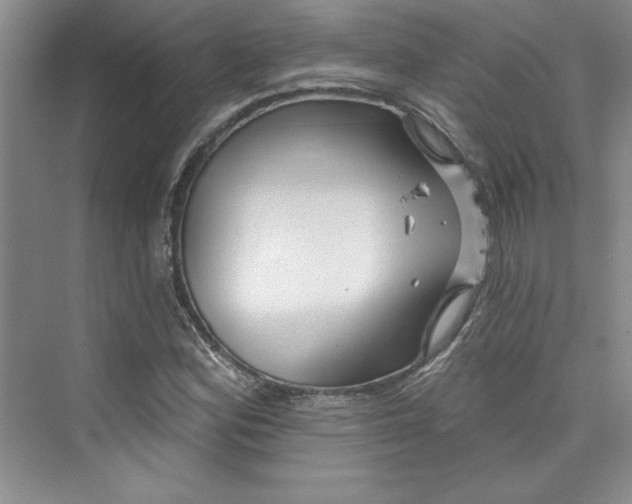 X0000075401164200609251011