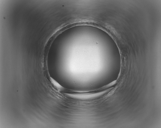 X0000075401165200609251011