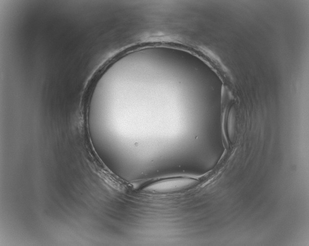 X0000075401167200609251011