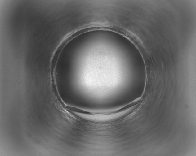 X0000075401168200609251011