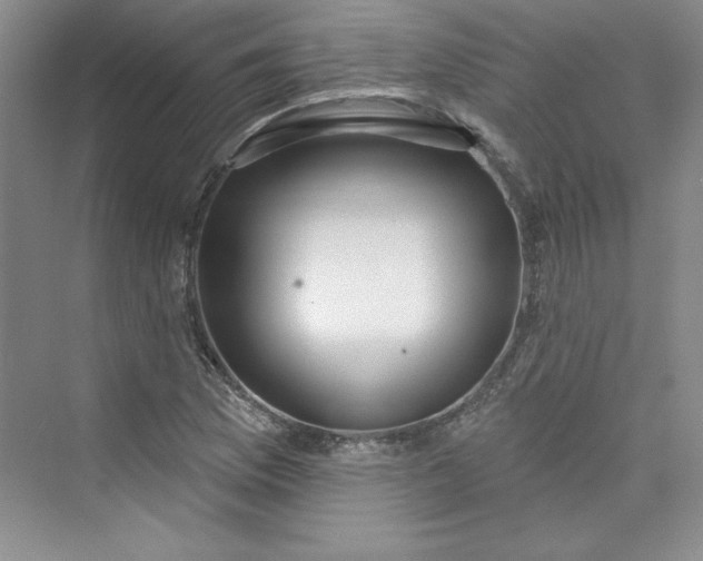 X0000075401169200609251011