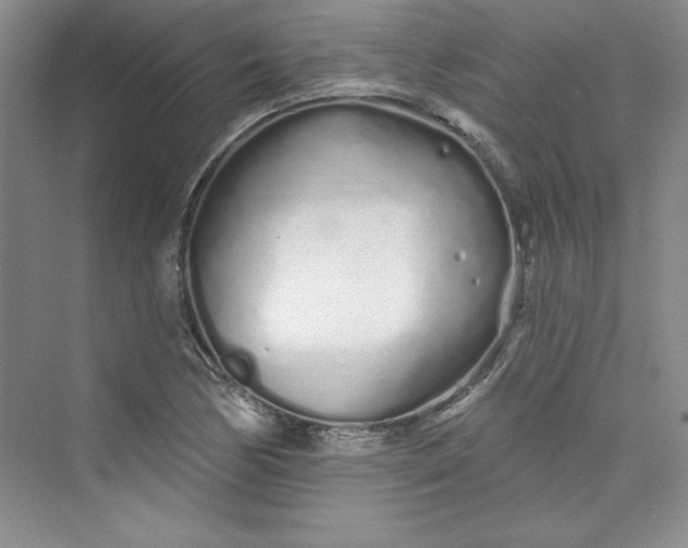 X0000075401170200609251011