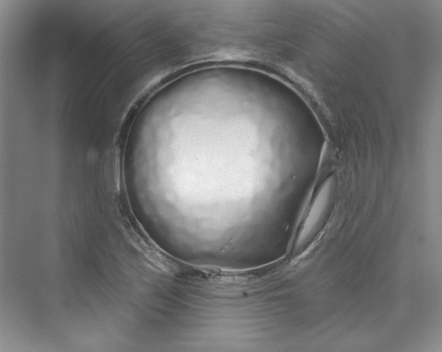 X0000075401171200609251011