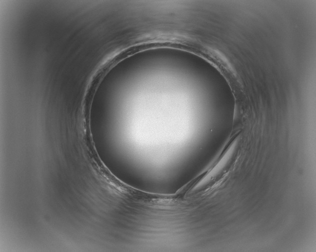 X0000075401172200609251011