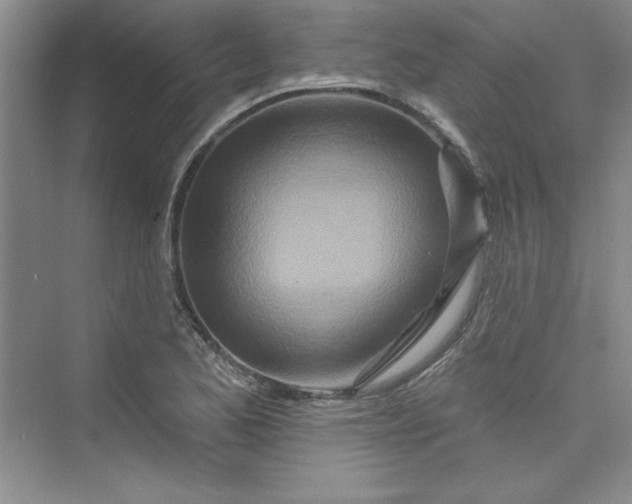 X0000075401173200609251011