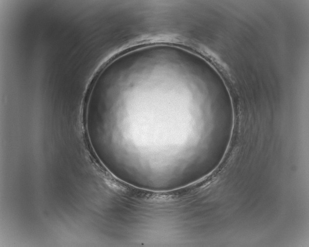 X0000075401174200609251010