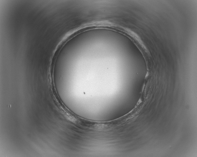 X0000075401176200609251010