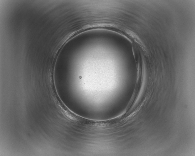 X0000075401177200609251010