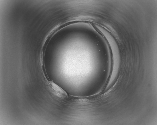 X0000075401180200609251010