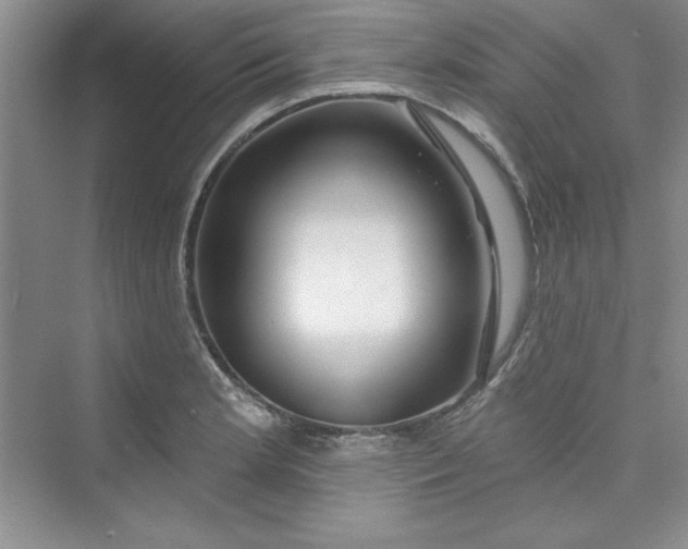 X0000075401181200609251010