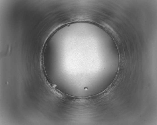 X0000075401182200609251010