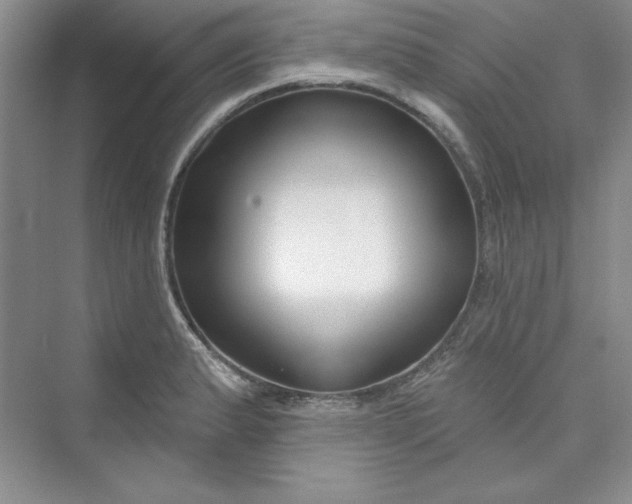 X0000075401183200609251010