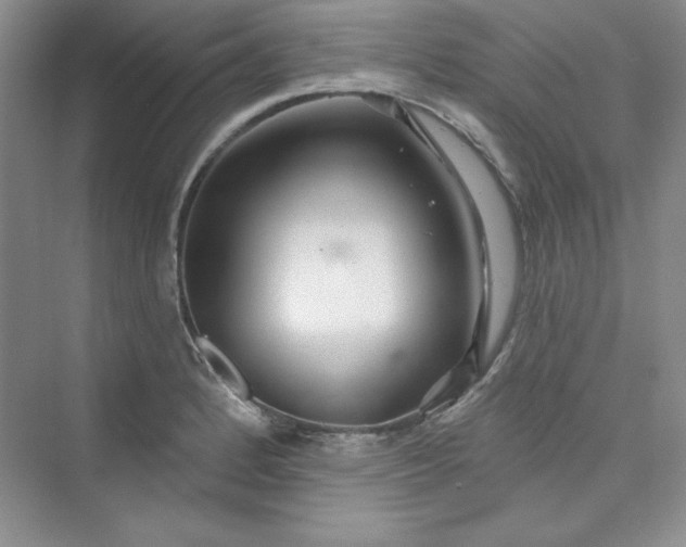 X0000075401184200609251010