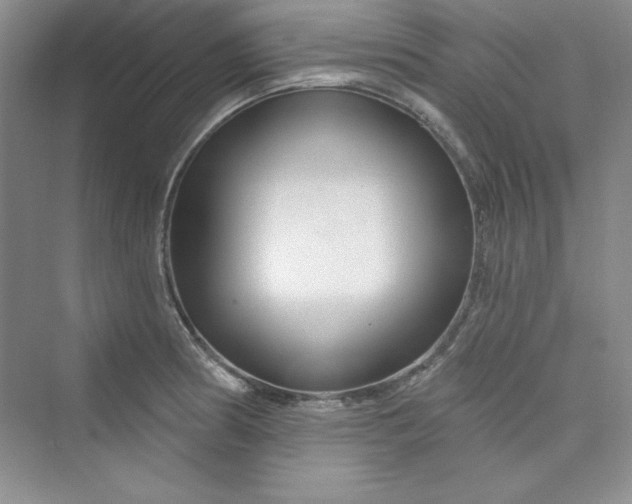 X0000075401186200609251010