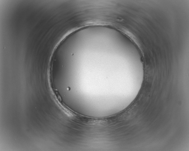 X0000075401187200609251010