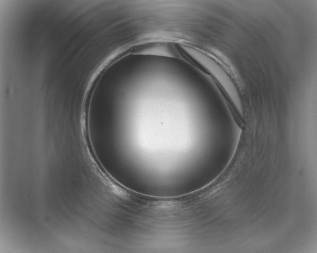 X0000075401188200609251010