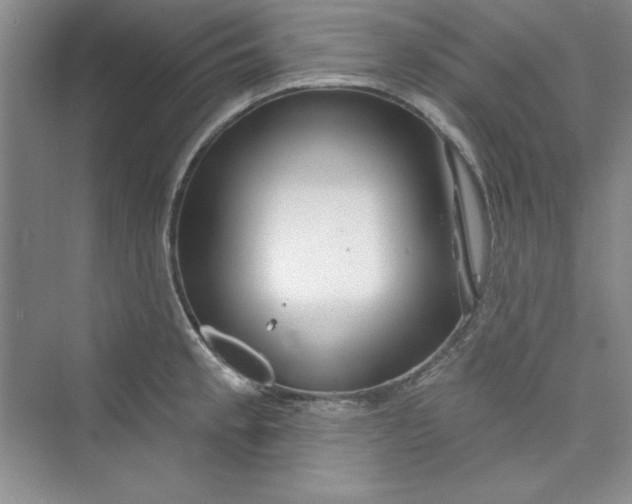 X0000075401189200609251010