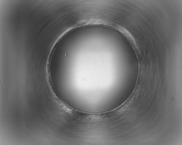 X0000075401190200609251010