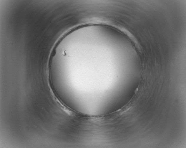 X0000075401191200609251010