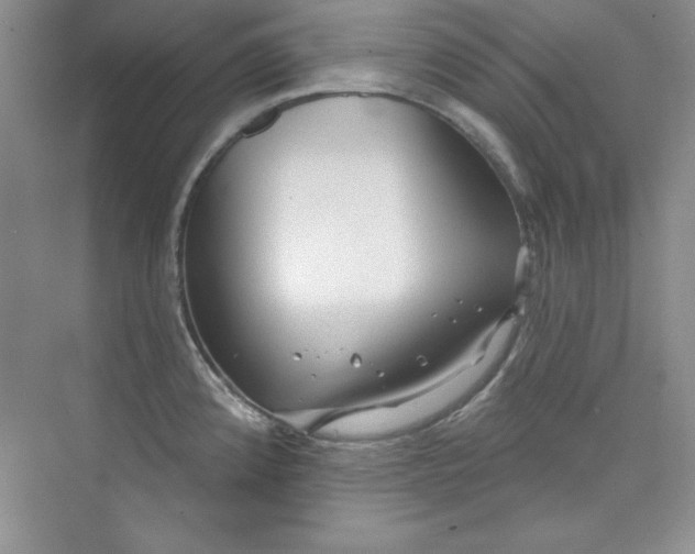 X0000075401192200609251010