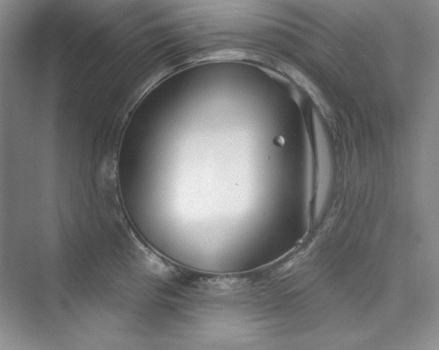 X0000075401193200609251010