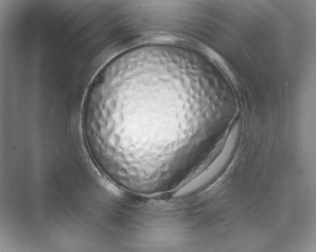 X0000075401194200609251010