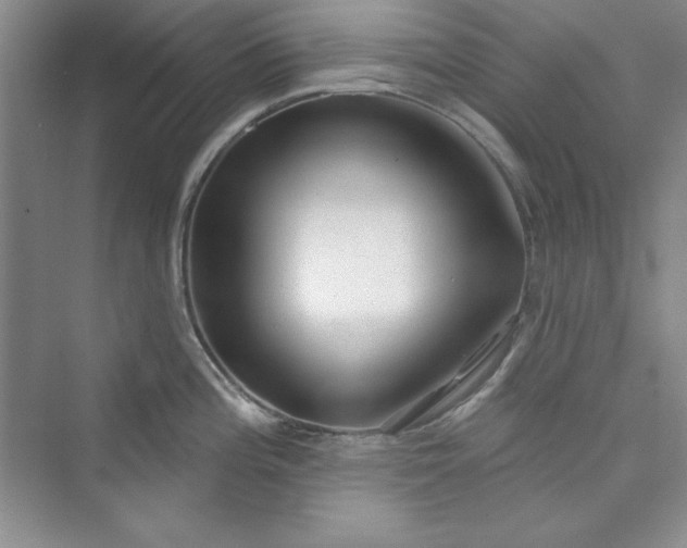 X0000075401196200609251010