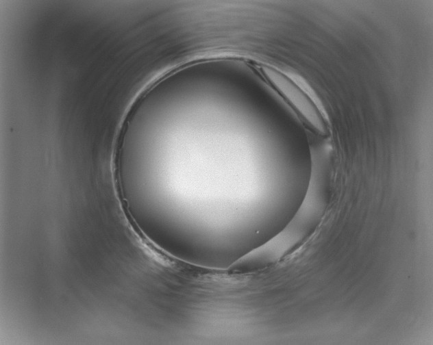 X0000075401197200609251010