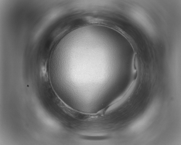 X0000075401198200609251010