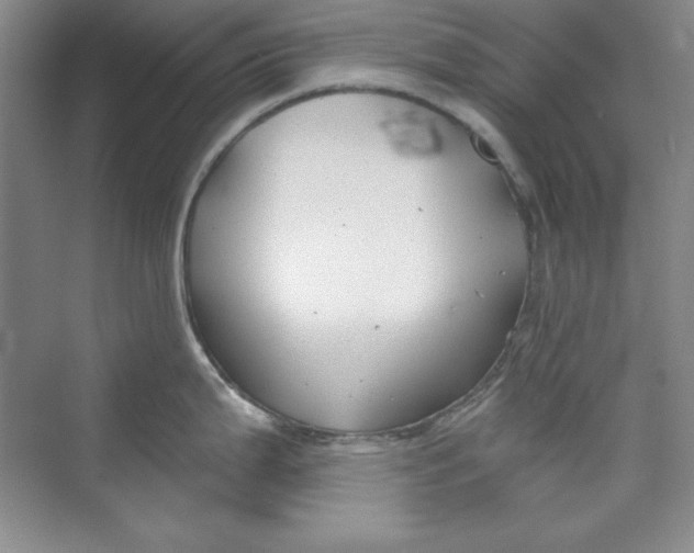 X0000075401199200609251010