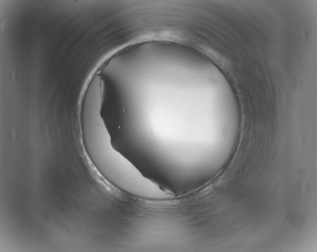 X0000075401200200609251010