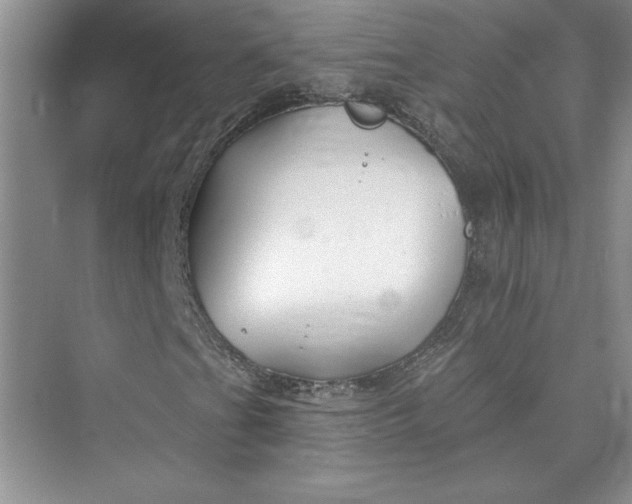 X0000075401201200609251009