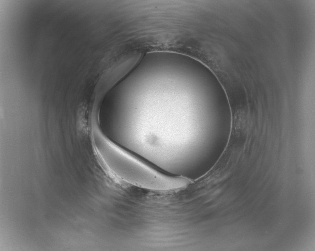 X0000075401202200609251009