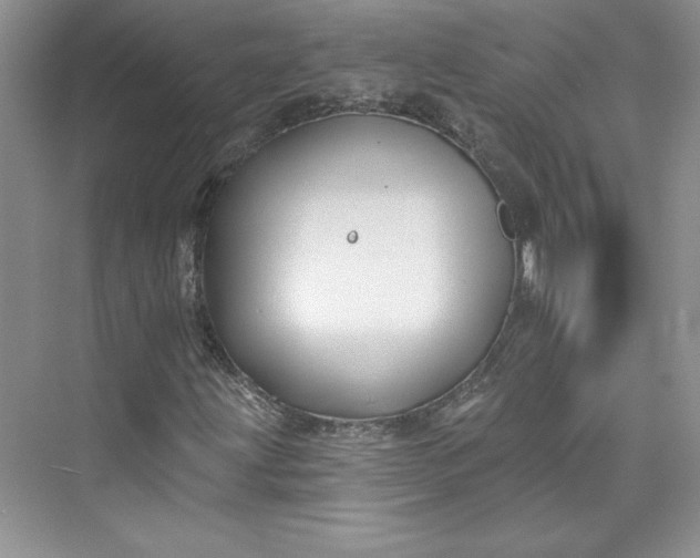 X0000075401203200609251009