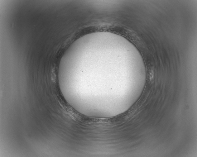 X0000075401204200609251009