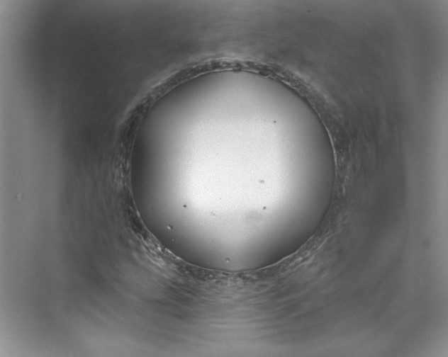 X0000075401207200609251009