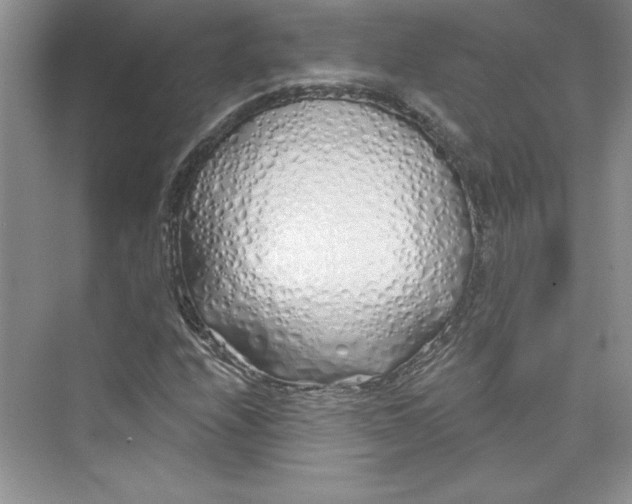 X0000075401208200609251009