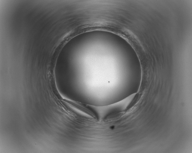 X0000075401210200609251009