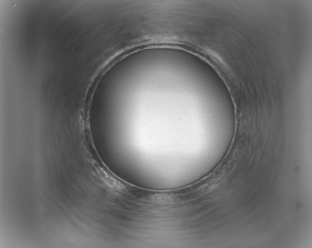 X0000075401212200609251009